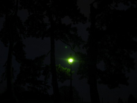 les promenades au soir tombant dans les Buttes Chaumont